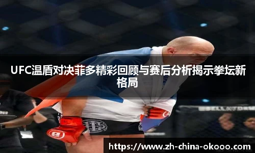 UFC温盾对决菲多精彩回顾与赛后分析揭示拳坛新格局