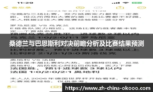 桑德兰与巴恩斯利对决前瞻分析及比赛结果预测